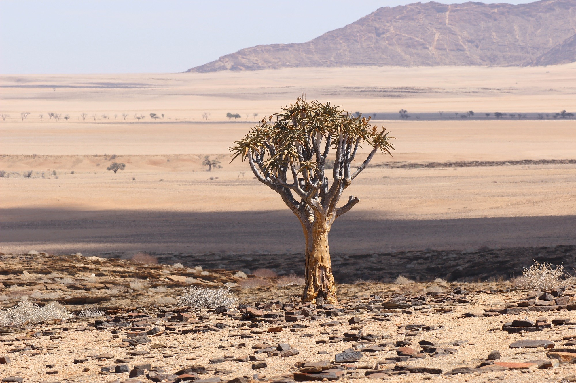 Roadtrip Namibia