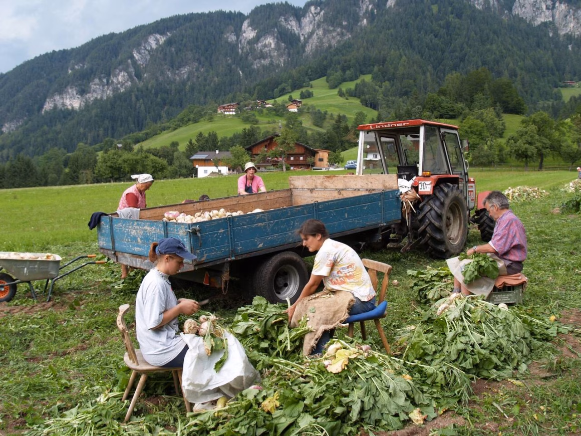 Krautingerrüber Wildschönau