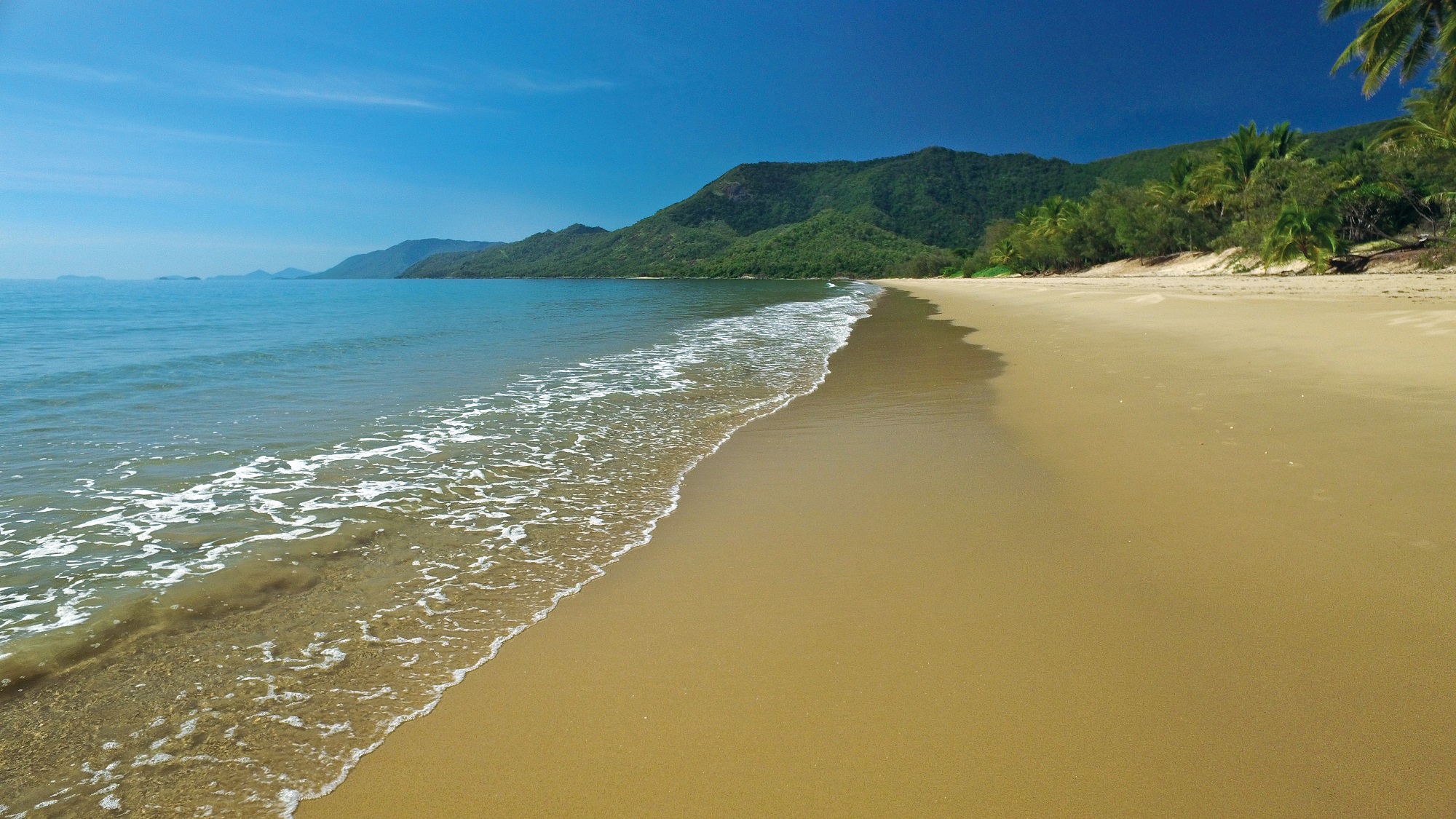 (c) Thala Beach Nature Reserve