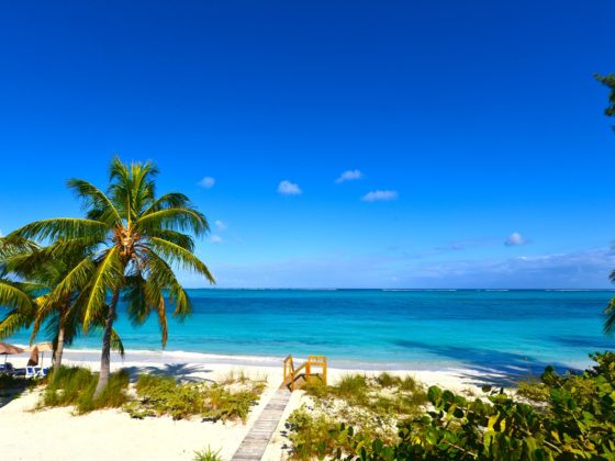A sunny day at Grace Bay Beach in Providenciales, Turks and Cacos. A walkway on a white sandy is bordered by palm trees and plants. The calm ocean stretches out towards the horizon under a deep blue sky. Die besten Strände der Welt