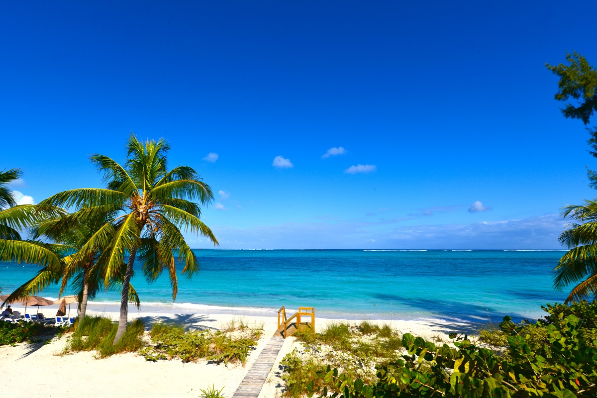 A sunny day at Grace Bay Beach in Providenciales, Turks and Cacos. A walkway on a white sandy is bordered by palm trees and plants. The calm ocean stretches out towards the horizon under a deep blue sky. Die besten Strände der Welt
