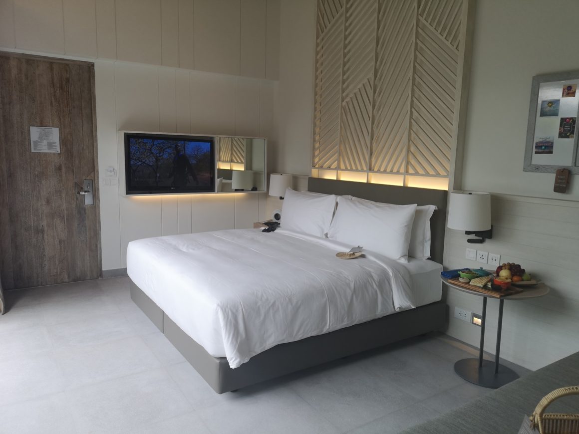 (c) The Chill Report - Koh Samui