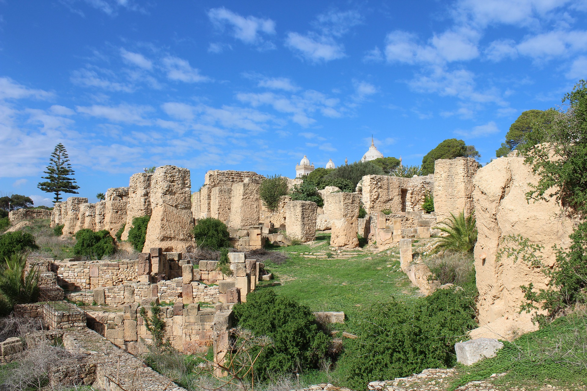Ruinen Karthago Sommer in Tunesien