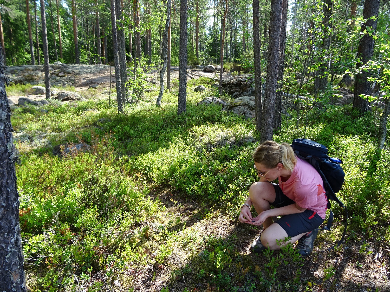 Wandern in Finnland mit Wikinger Reisen