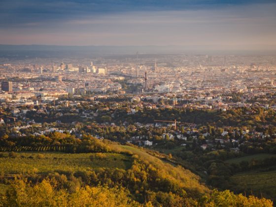 100 km durch Wien Megamarsch