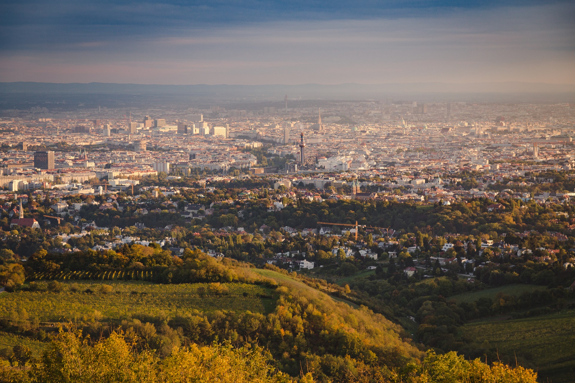 100 km durch Wien Megamarsch