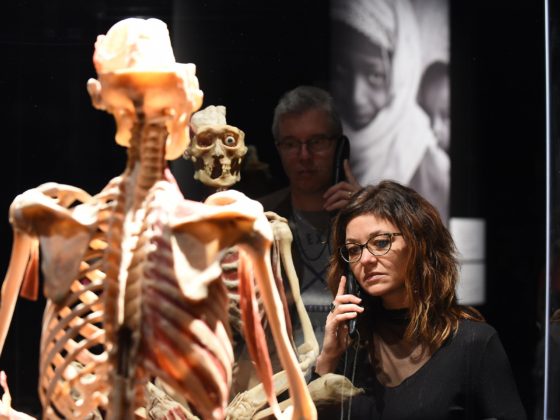 Whispering Bones Eventtipp im Jänner Wien