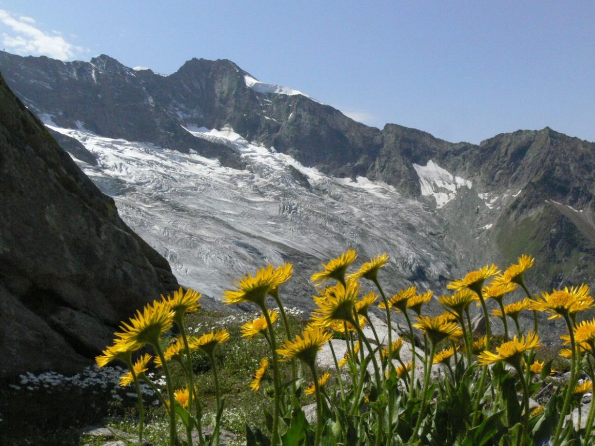 Nationalpark Hohe Tauern