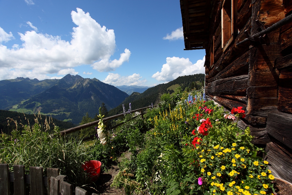 Sommerurlaub in Salzburg Das Edelweiß Mountain Resort