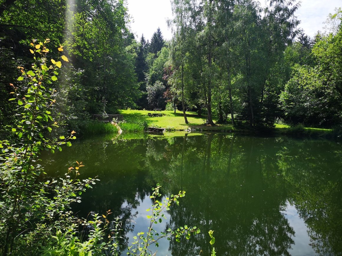 Wanderurlaub in Niederösterreich Molzbachhof
