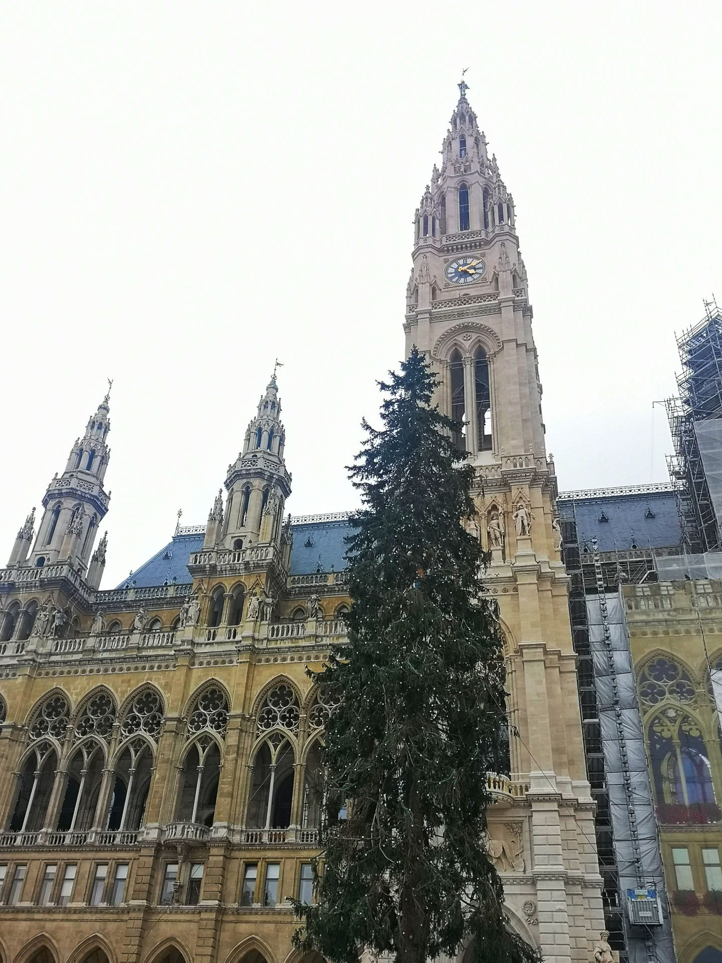 Klaffer am Hochficht Christbaum vor dem Wiener Rathaus