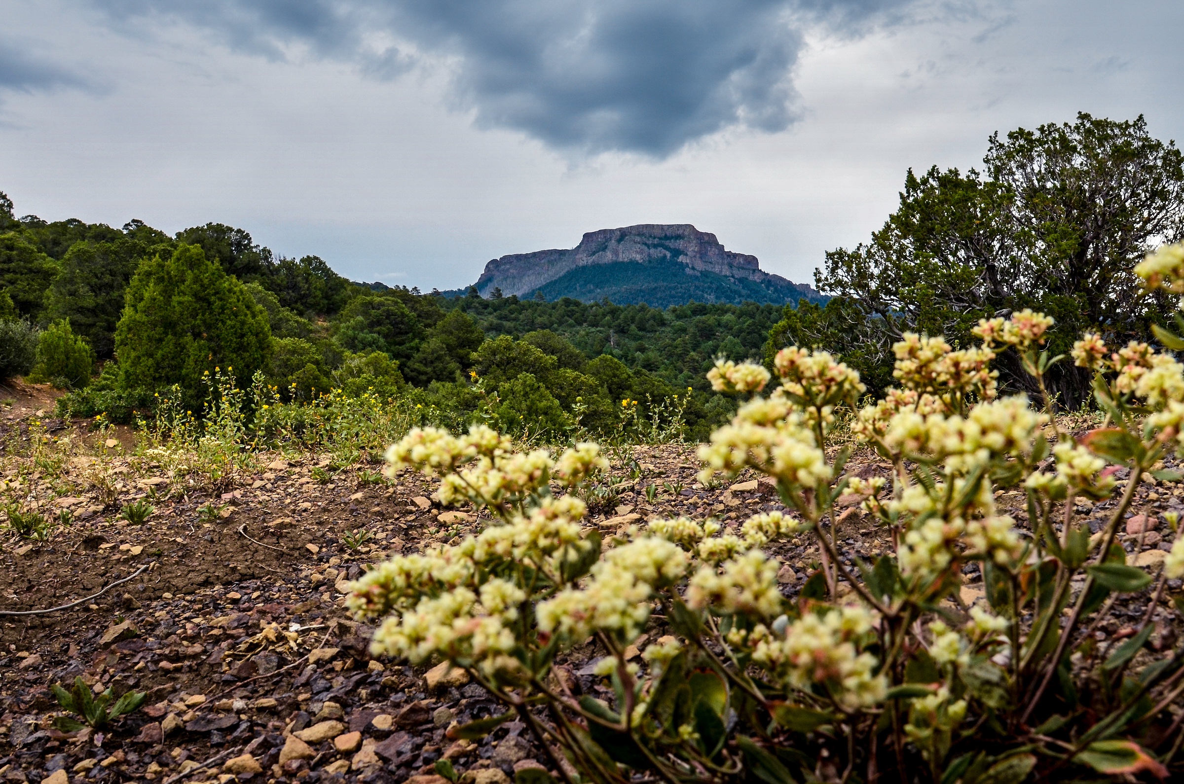 Neuer State Park in Colorado Fishers Peak