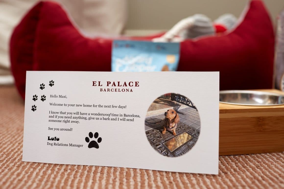 Luxusurlaub für Hunde El Palace Barcelona