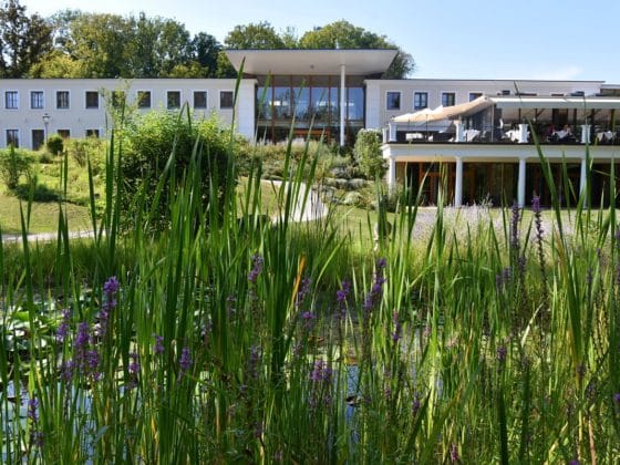 Spontane Auszeit im Wienerwald Schlosspark Mauerbach