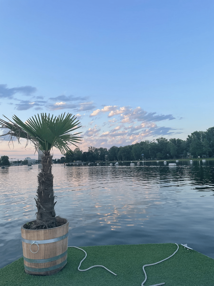 Insel mieten auf der Donau