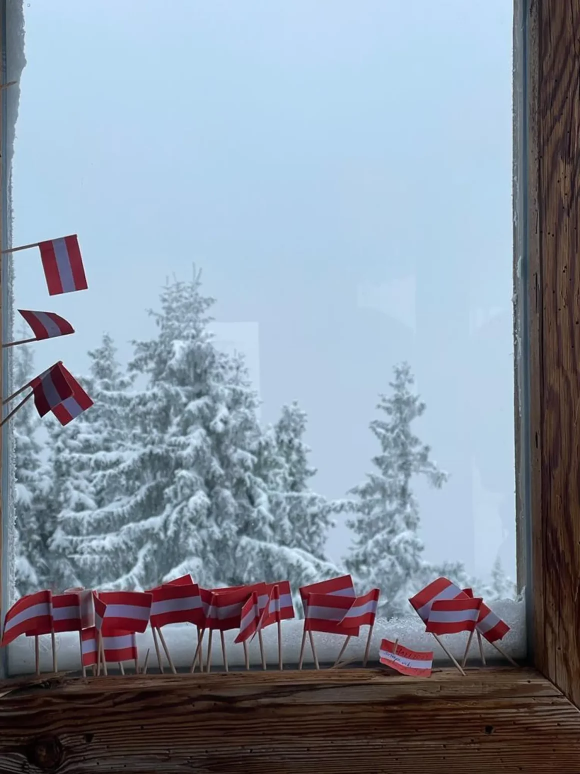 Best Ski Huts in Schladming