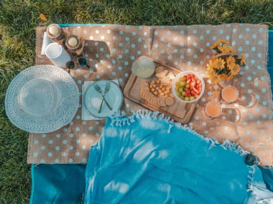 Picknick in Wien