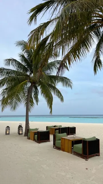 Beste Reisezeit für die Malediven Wetter Palmen Strand