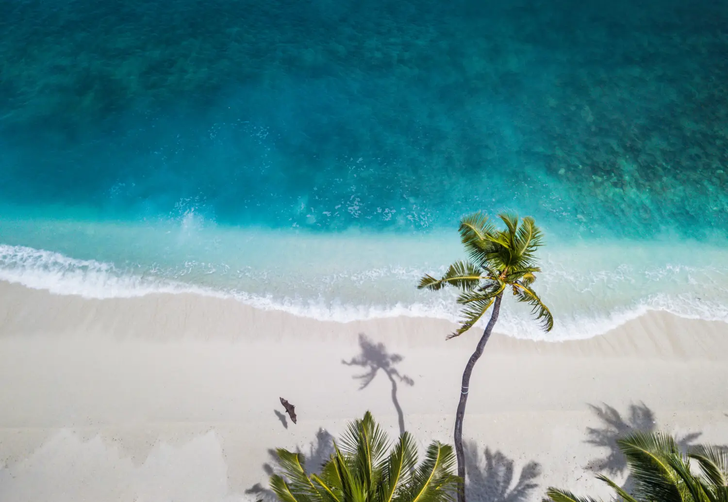 Beste Reisezeit für die Malediven