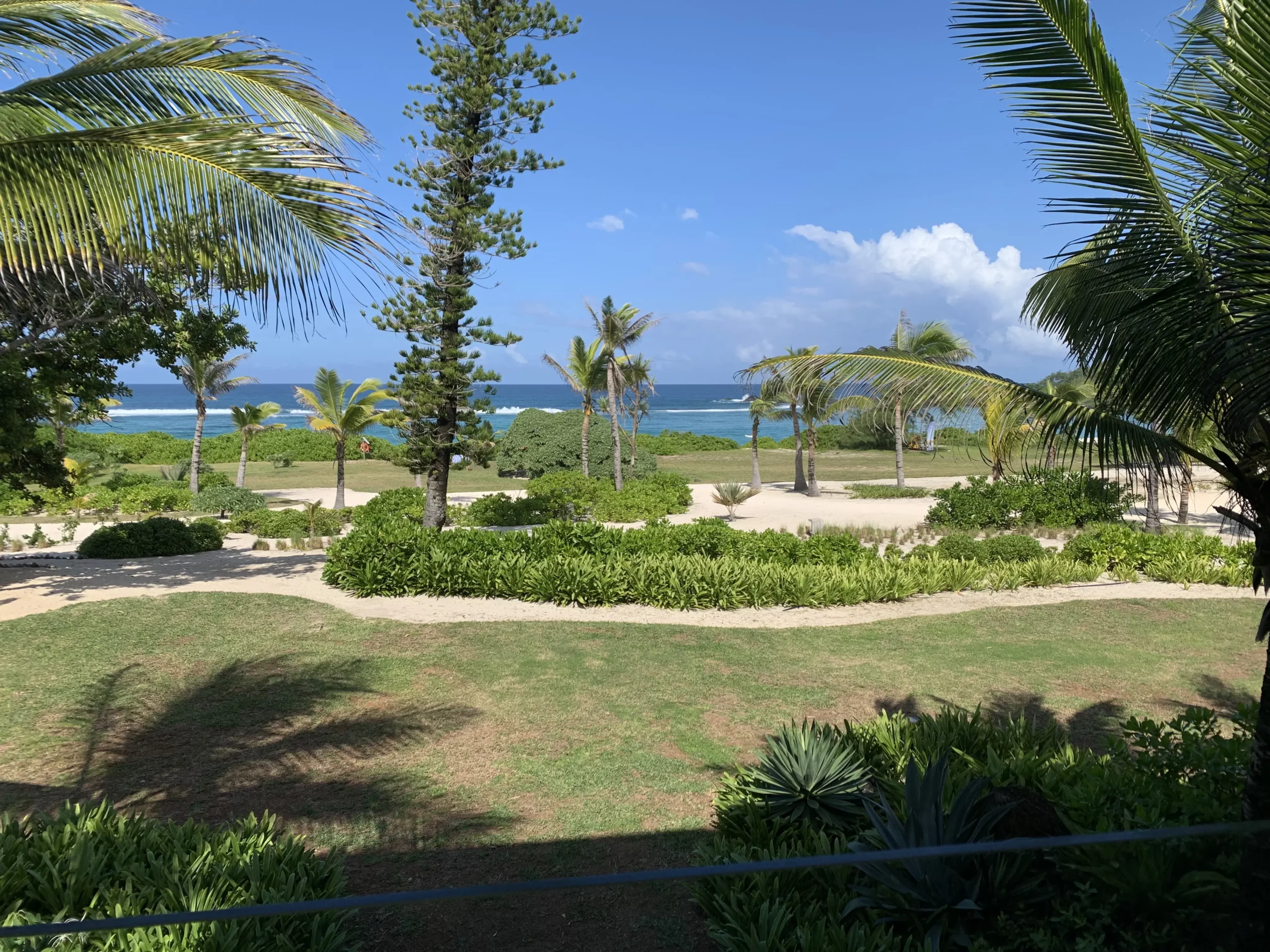 besten Tipps für den Mauritius-Urlaub Palmen