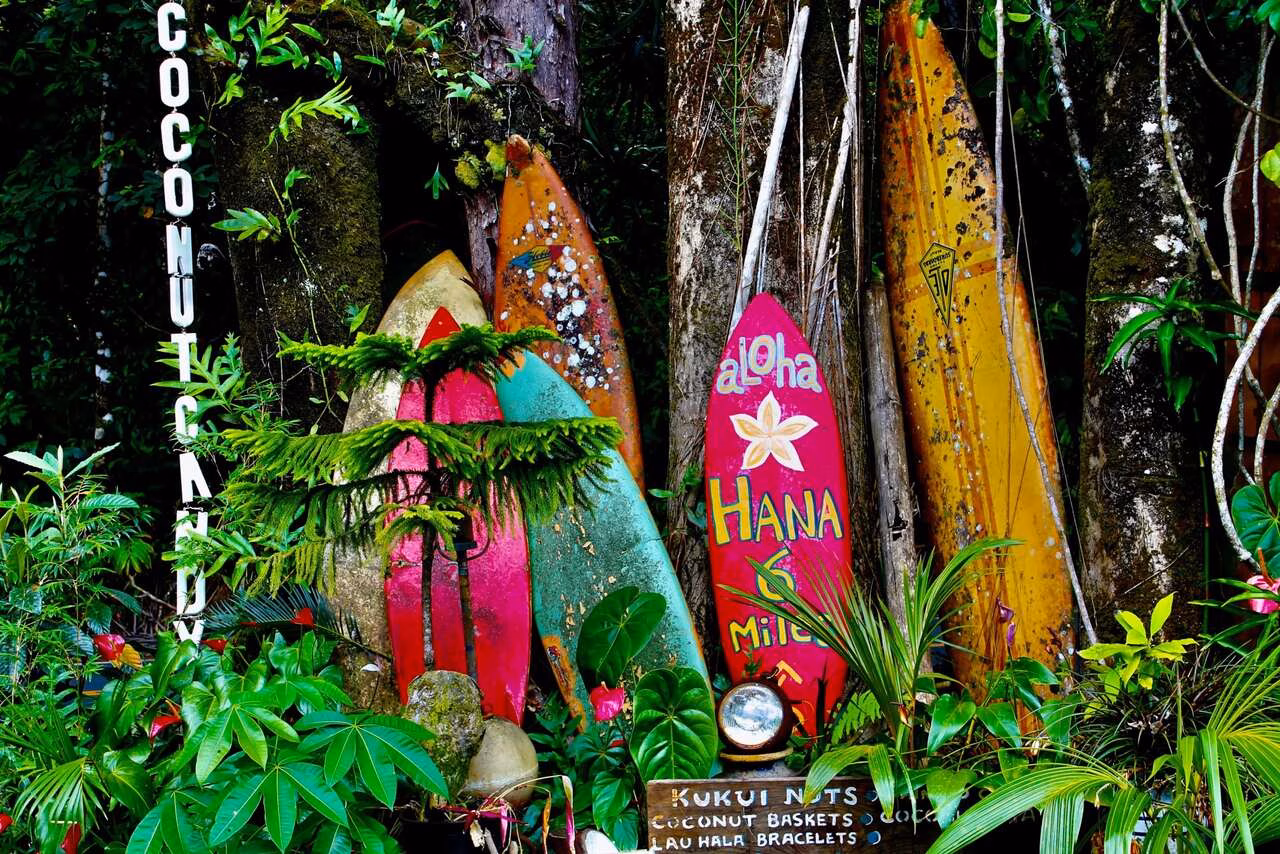 Jetzt nach Hawaii reisen