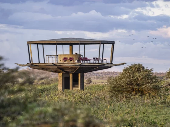 Neue Safari Lodge in Kenia