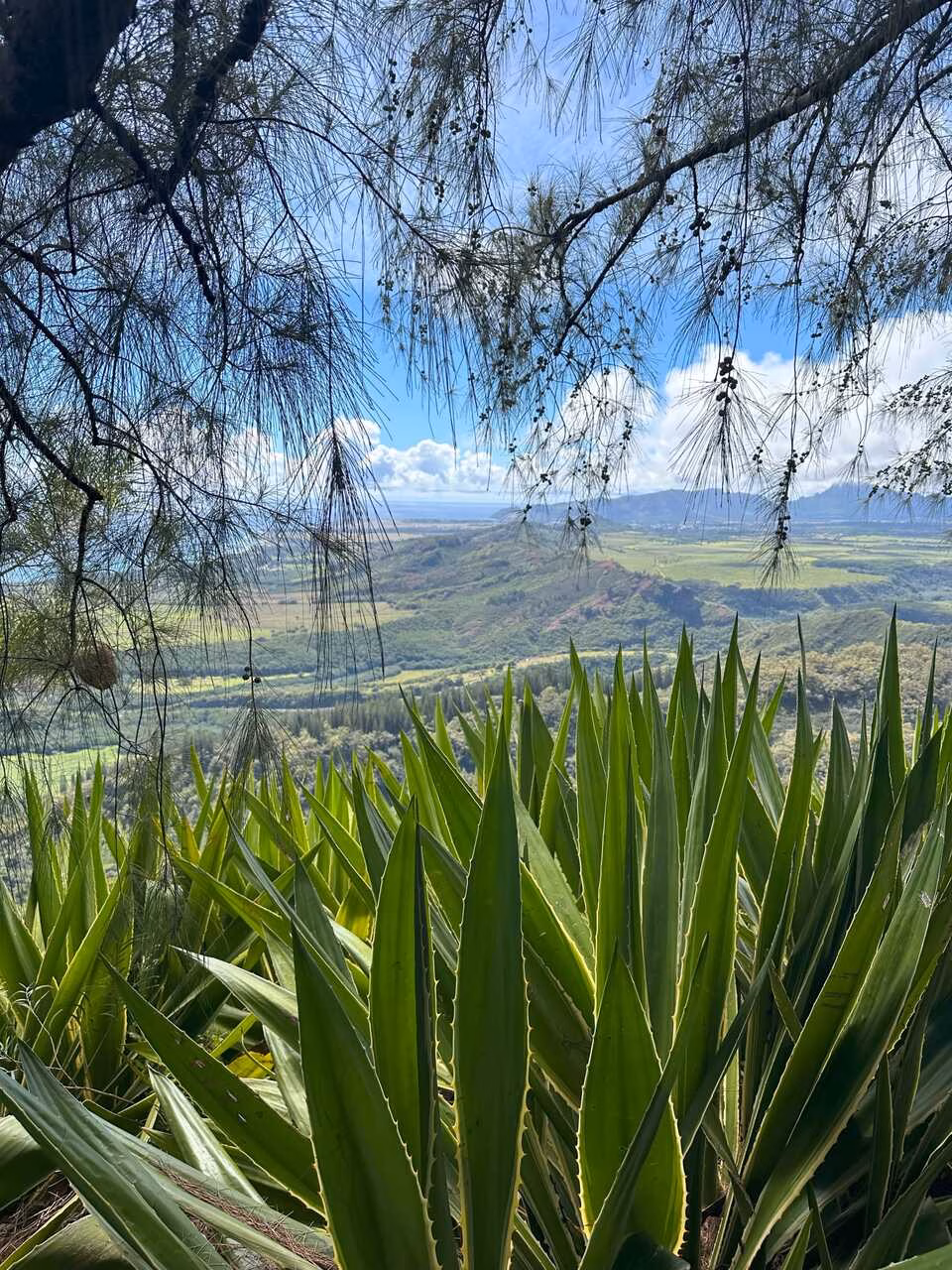 Hotspots auf Kauai
