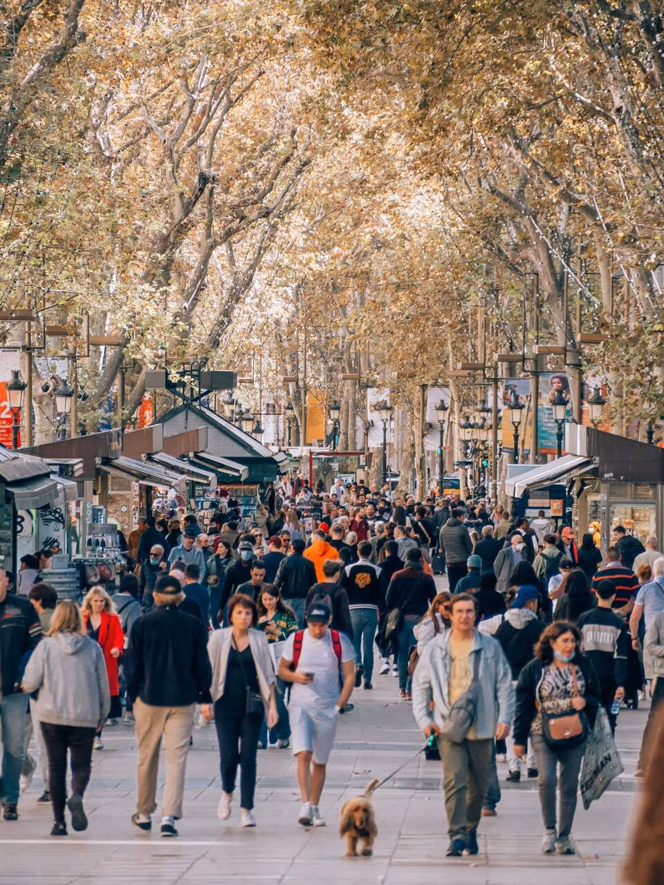 Überbewertete Sehenswürdigkeiten, La Ramblas