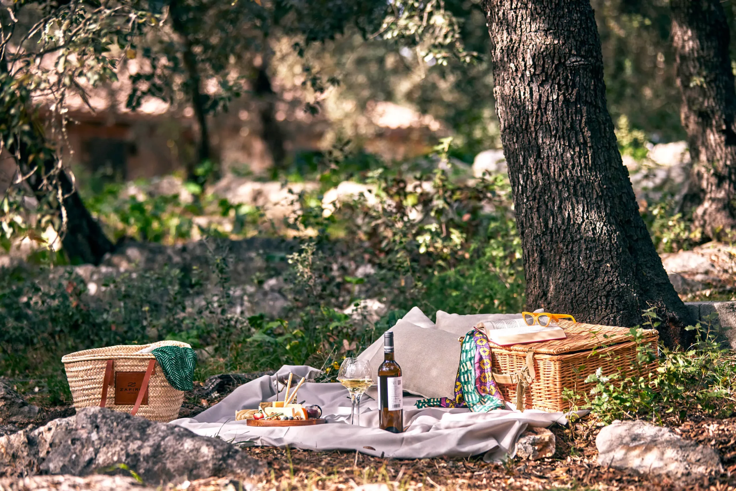 Picknick im Wald