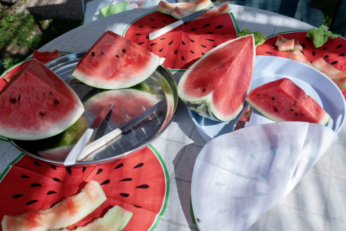 Melonenhalle Wien