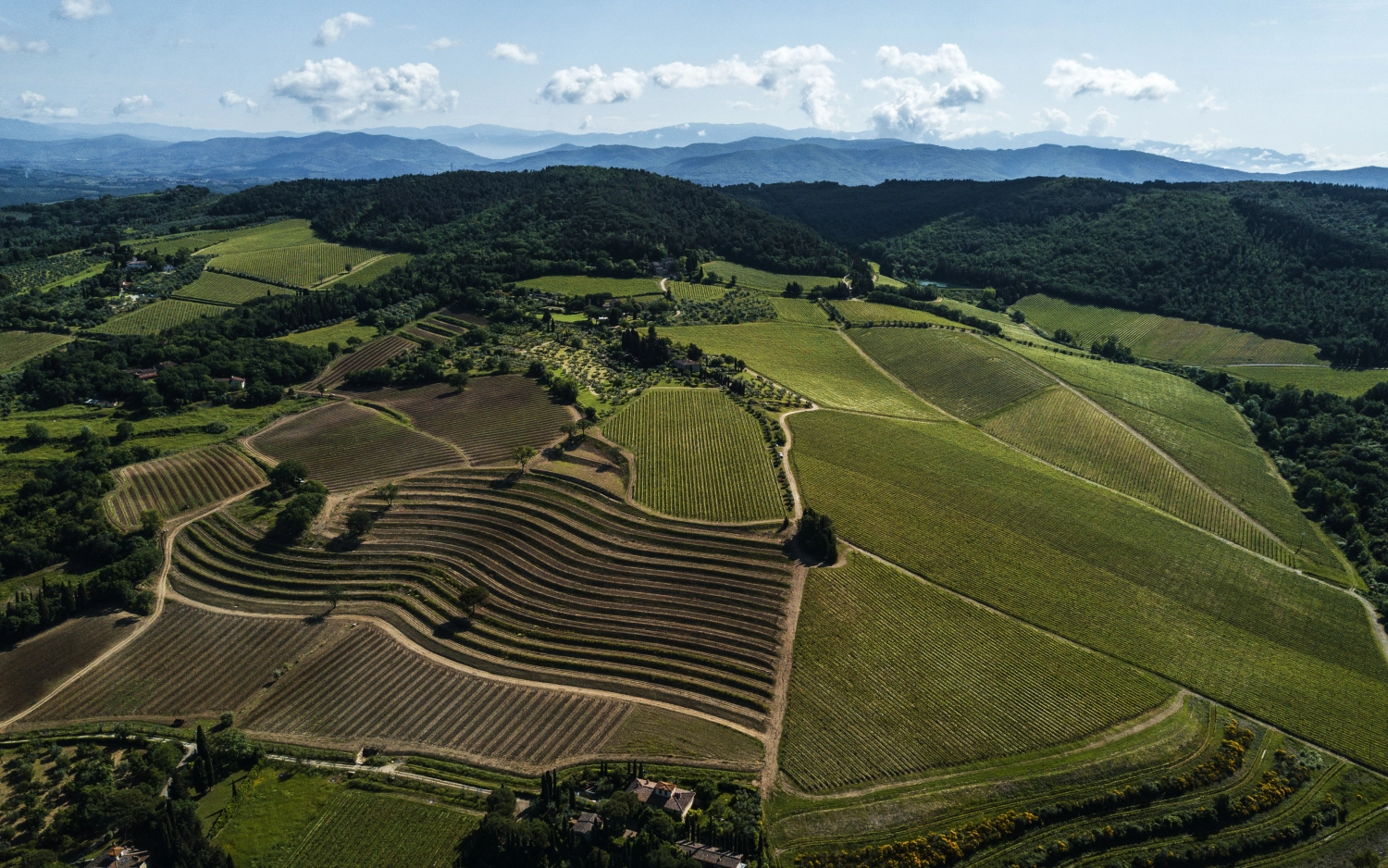 Marchesi Antinori