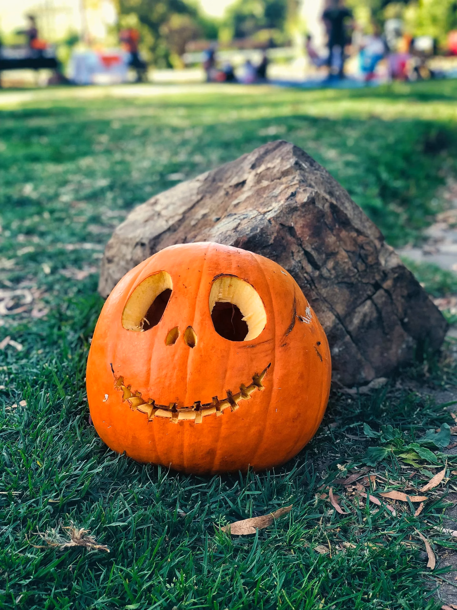 Pumpkin