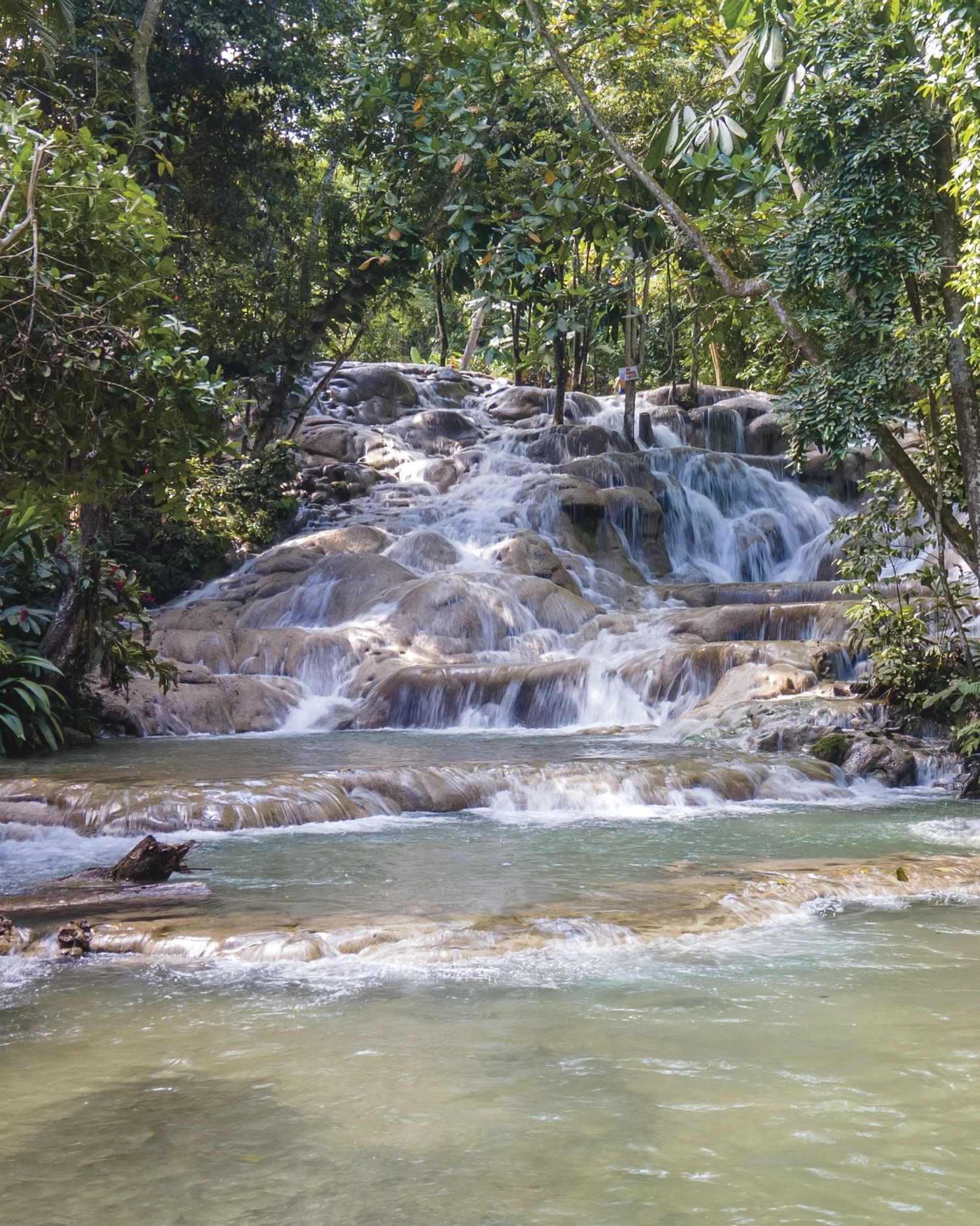 Dunn's River Falls