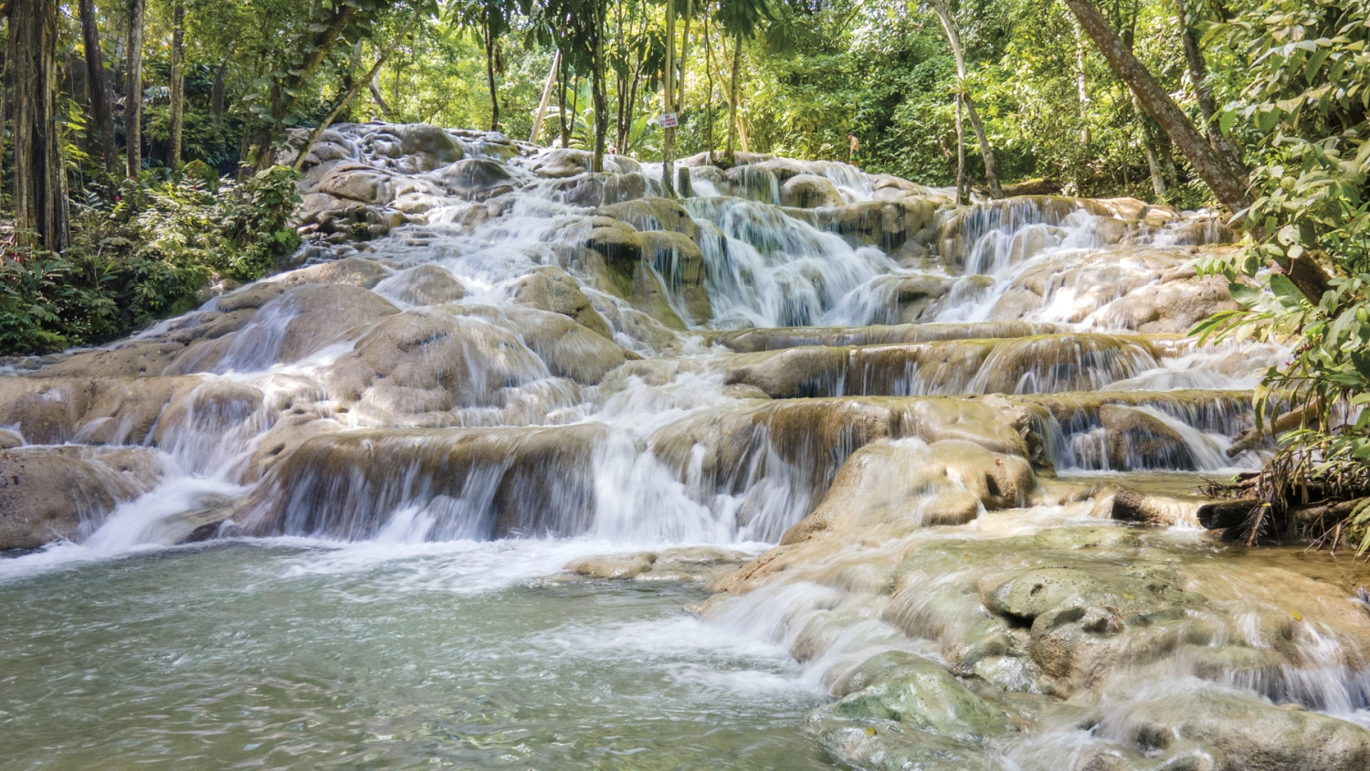 Dunn's River Falls