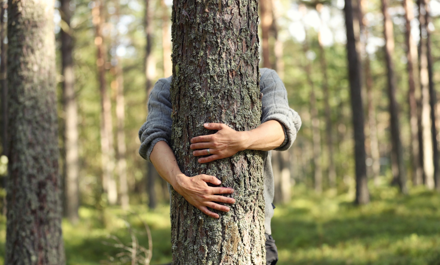 Tree Hugging Weltmeisterschaft