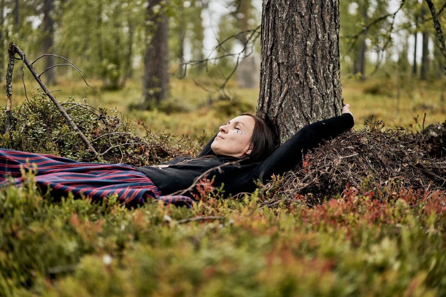 Finnland und seine Wälder