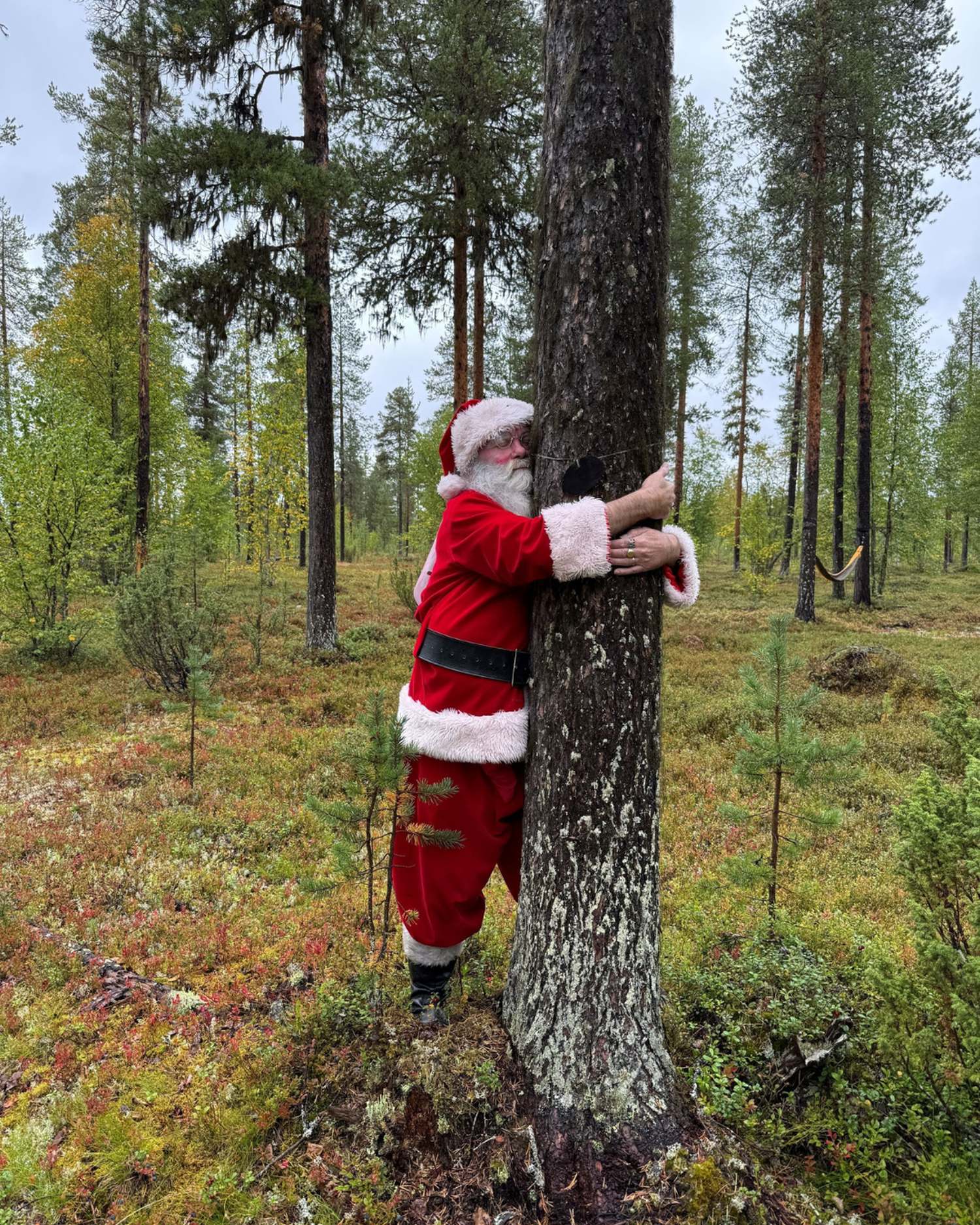 Tree Hugging Santa