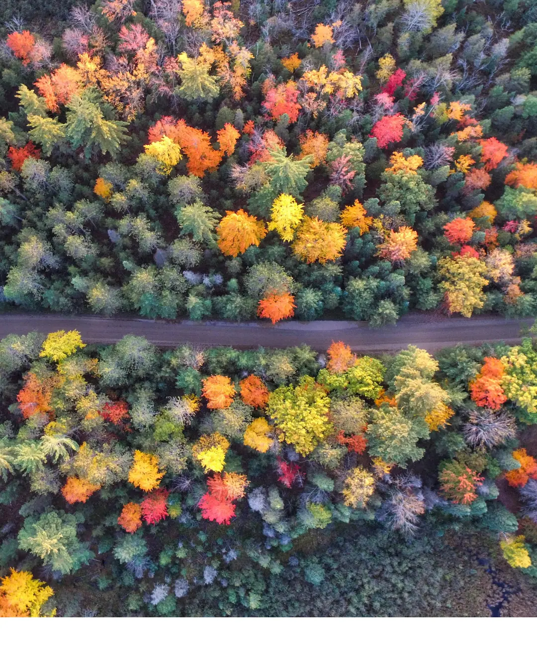 Herbst in derKvarner Bucht