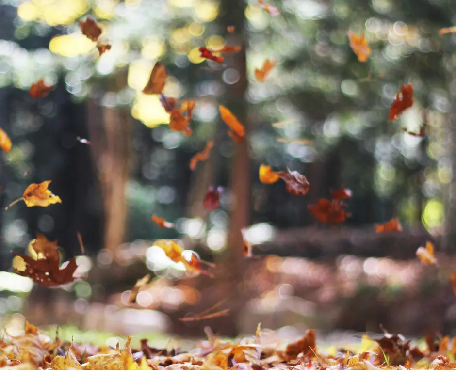 Herbst in der Kvarner Bucht