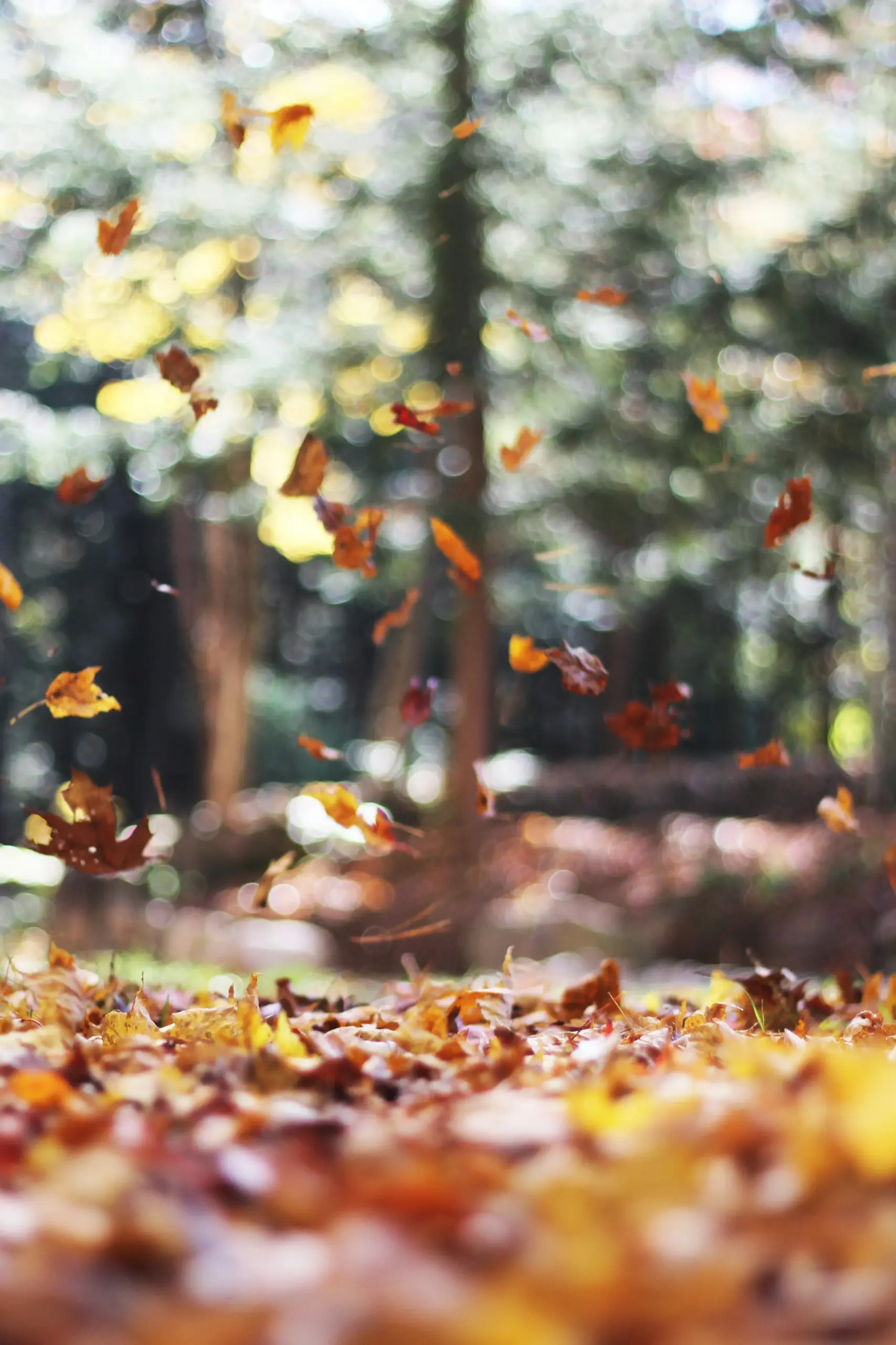 Herbst in der Kvarner Bucht