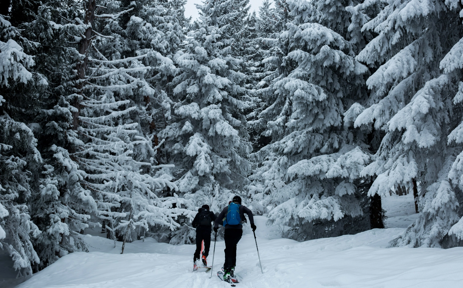 Skifahrerer Winter Montenegro