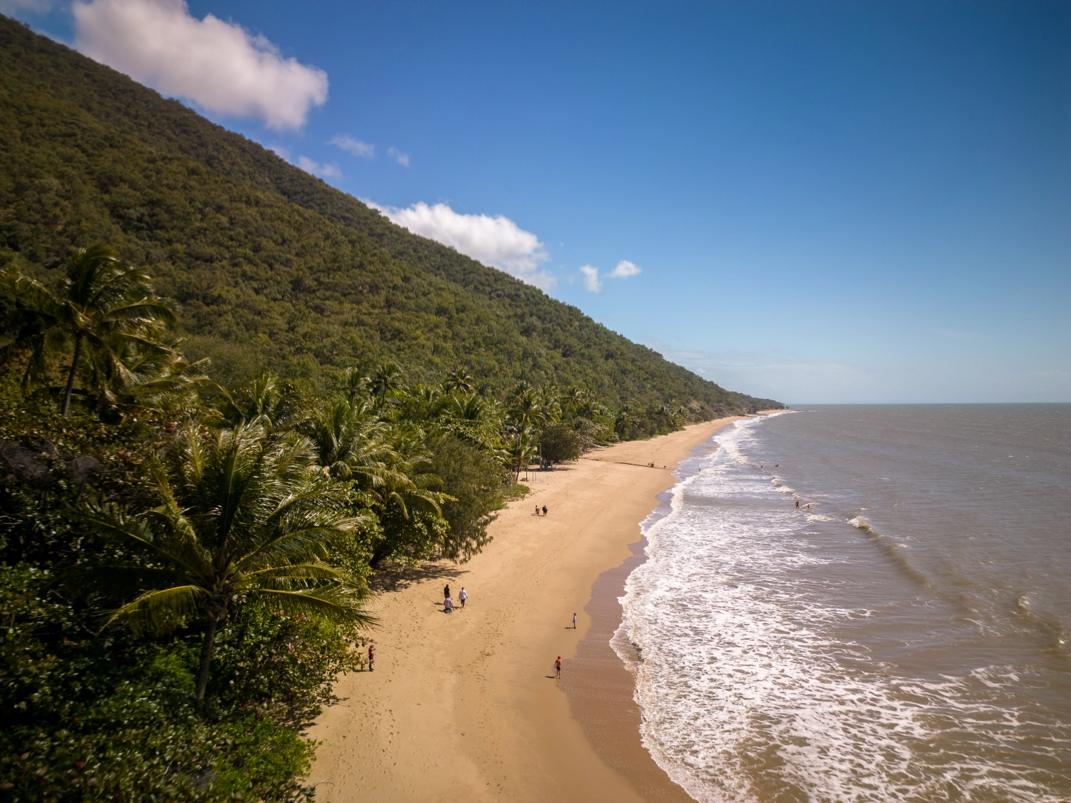 Wangetti Trail Wandern auf Queensland