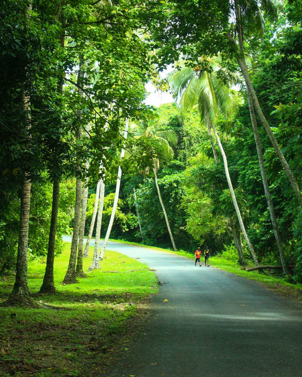 Papua Neuguinea, © Osbourne Wangillen