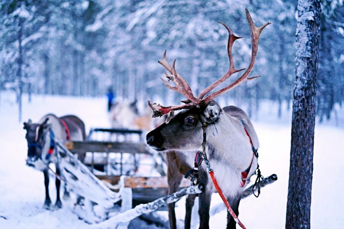 Winter am Polarkreis in Finnland