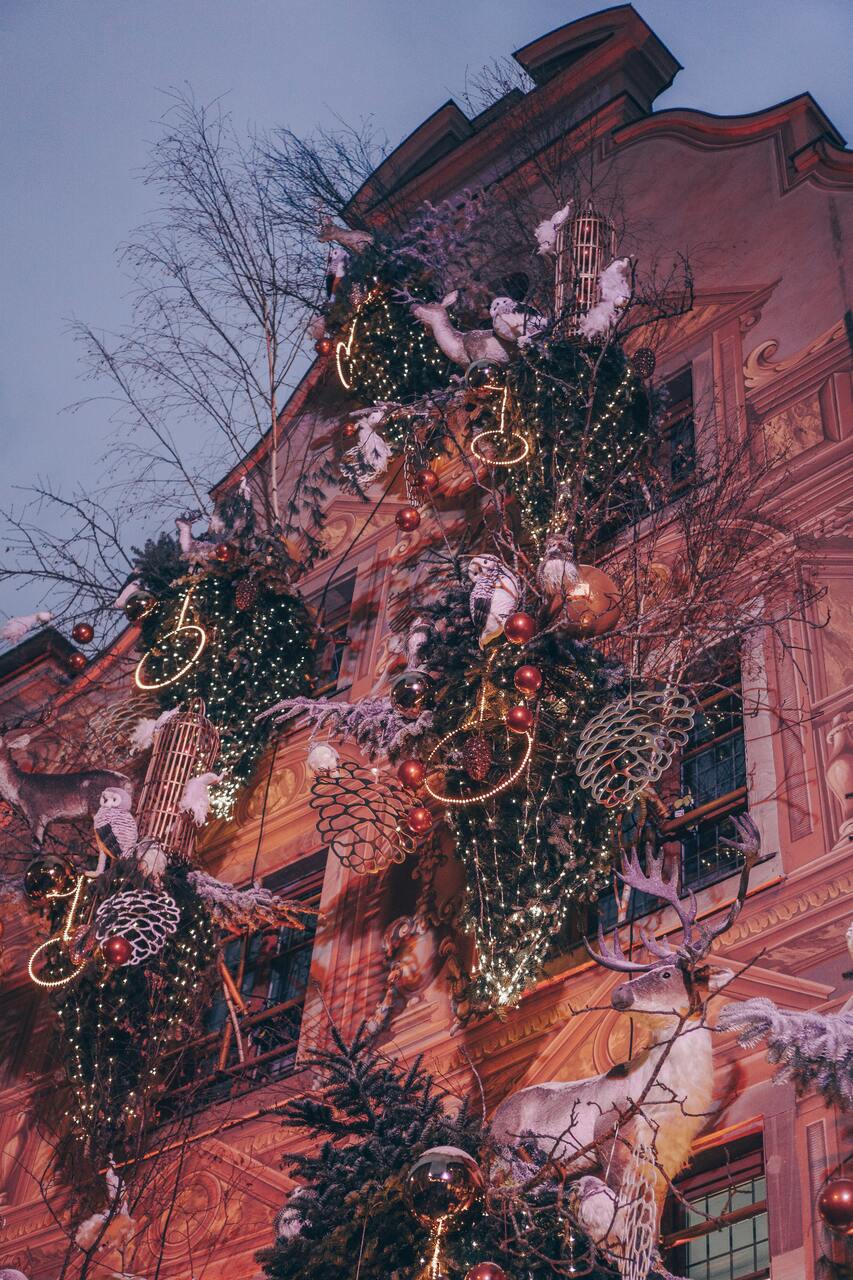 Reiseziele für Weihnachten Strasbourg