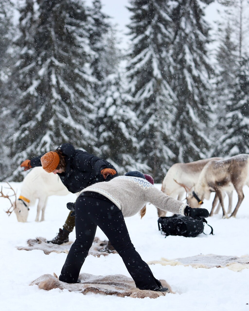 Winter am Polarkreis Rentier Yoga