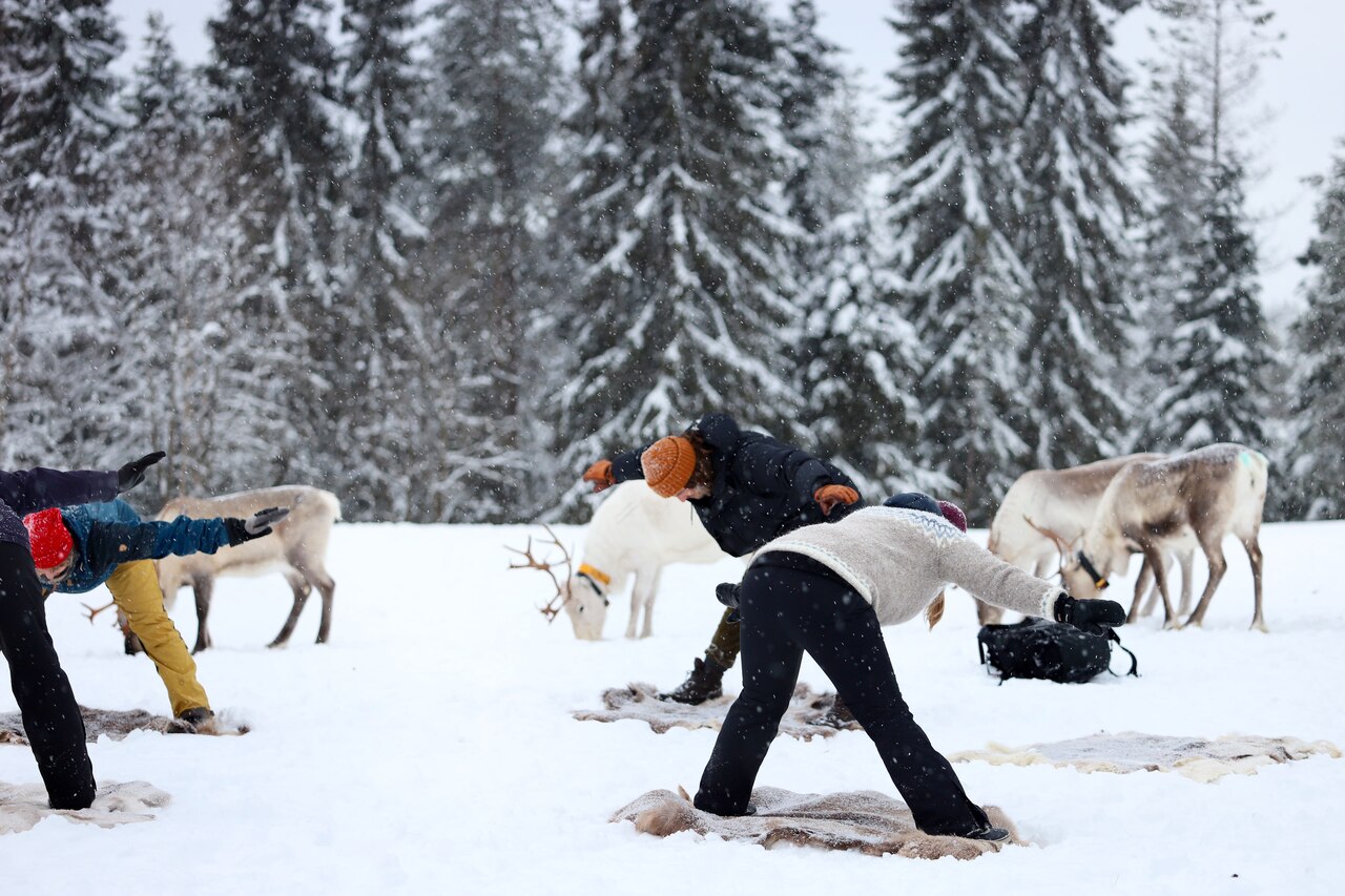 Rentier Yoga in Finnland