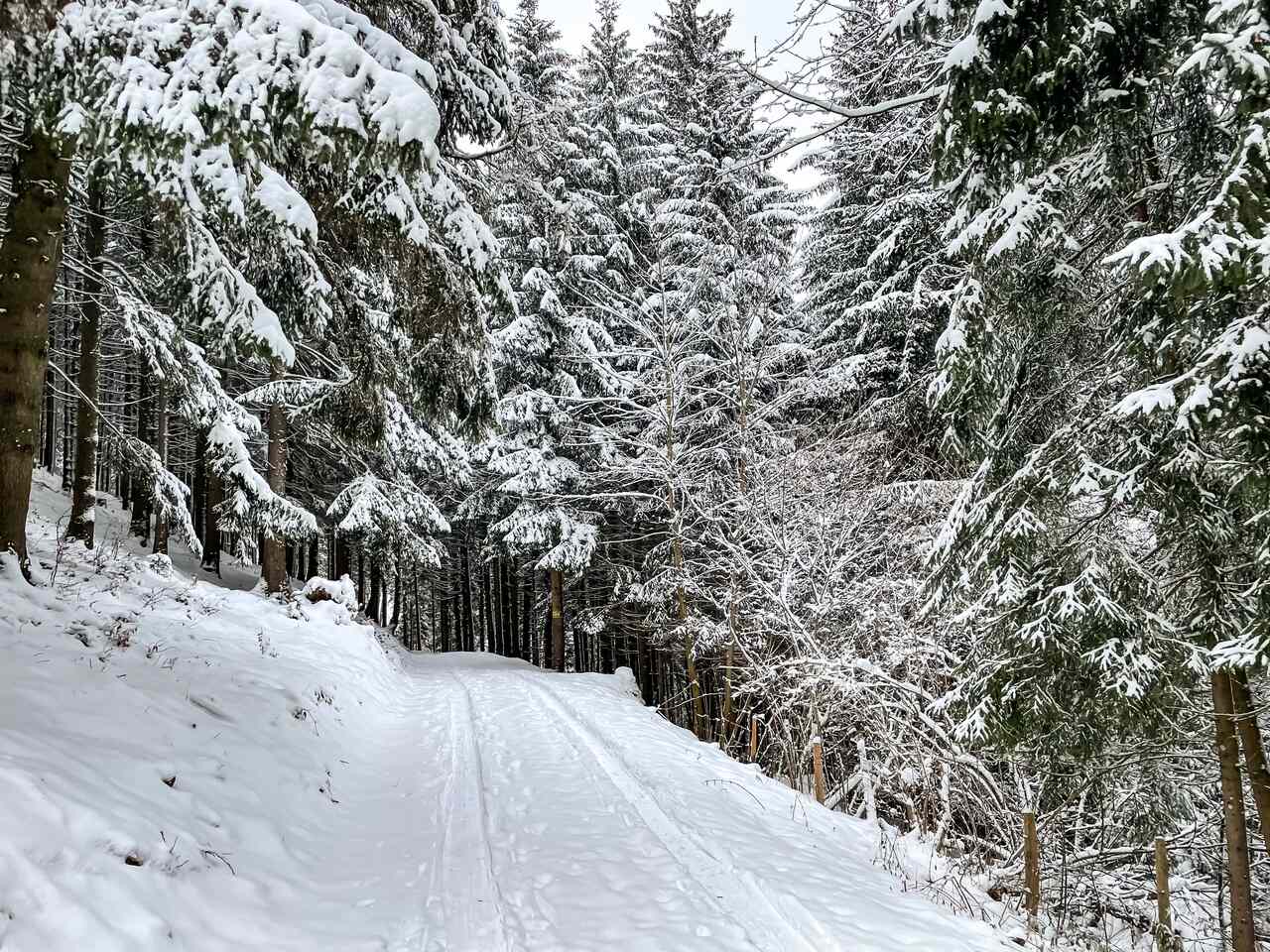 Winterwanderung am Hochkogl