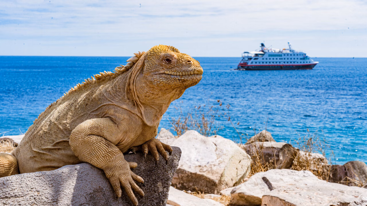 Galapagos Hurtigruten Reisen 2026