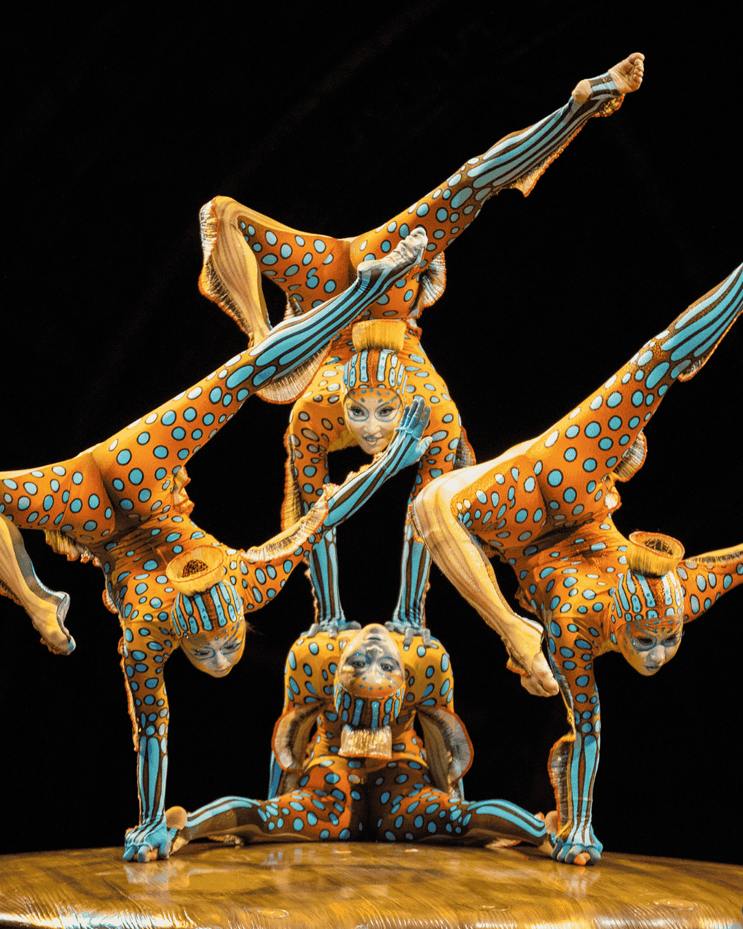 Kurios in Wien